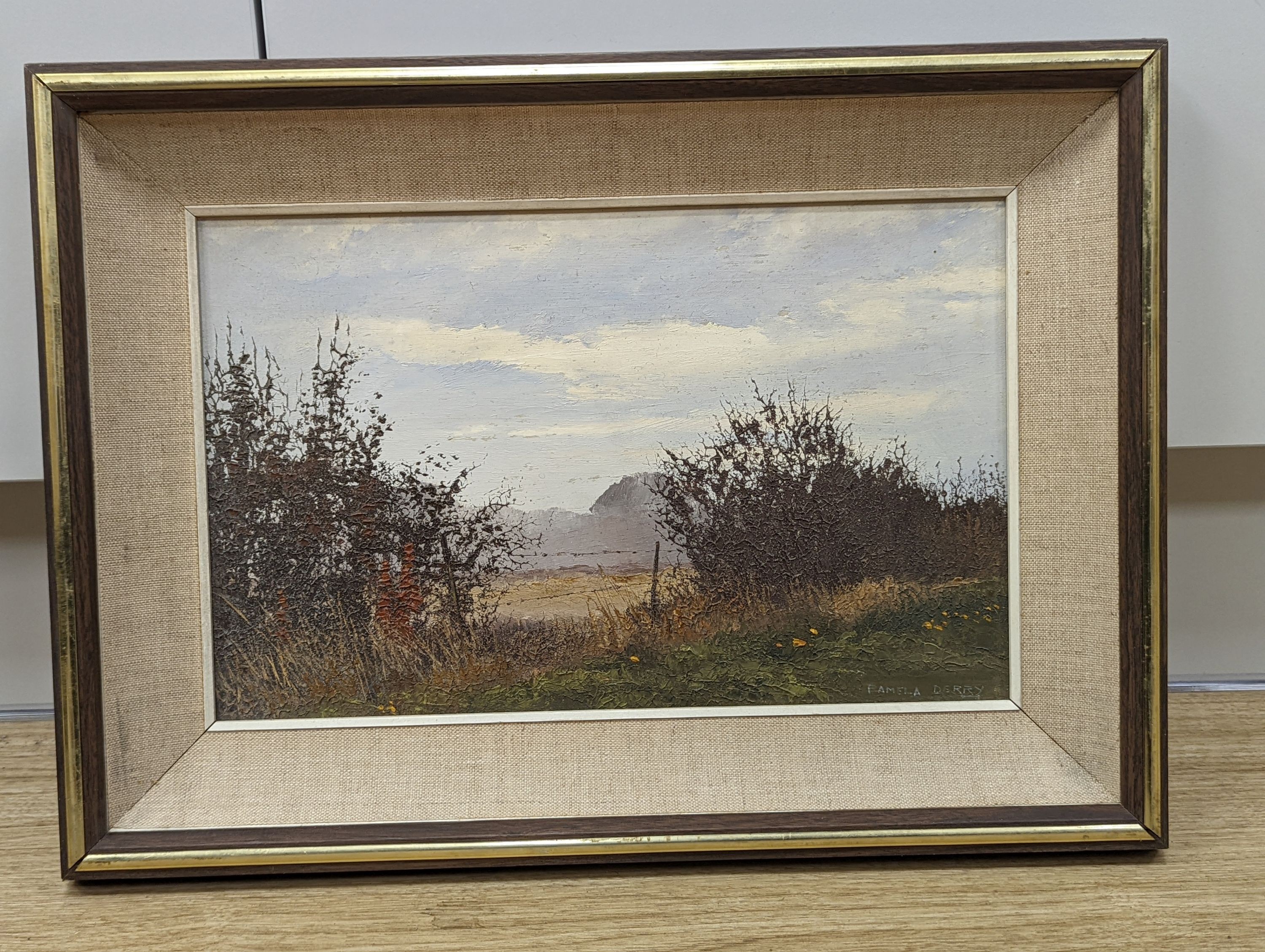 Pamela Derry (1932-2002), oil on board, Field side landscape, signed, 21 x 34cm